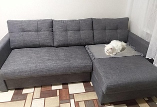 Медиа отзывов №5